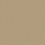 Cormar Primo Plus Carpet Exen Flooring