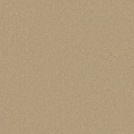 Cormar Primo Plus Carpet Exen Flooring