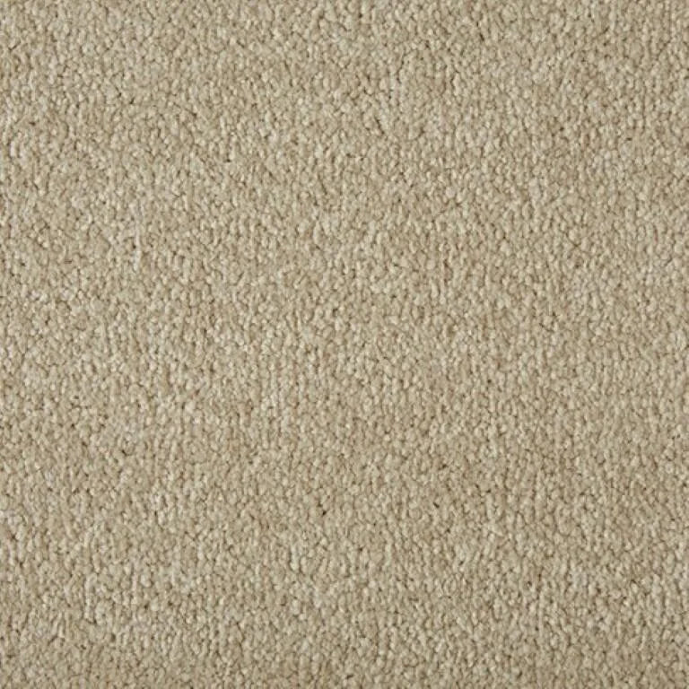 Cormar Primo Plus Carpet Exen Flooring