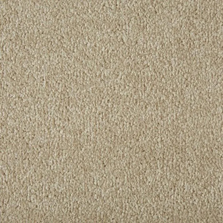 Cormar Primo Plus Carpet Exen Flooring