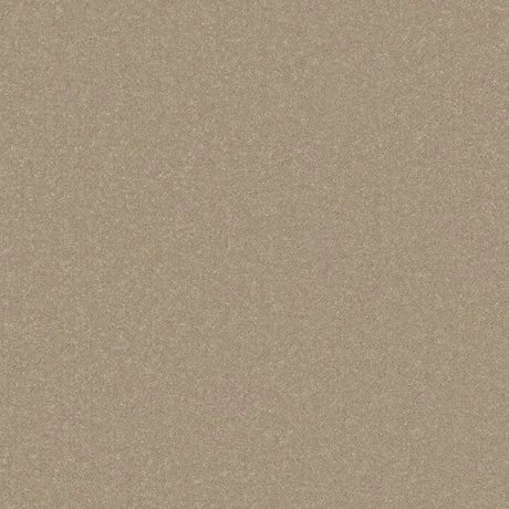 Cormar Primo Plus Carpet Exen Flooring