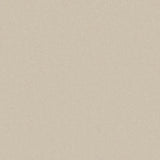 Cormar Primo Plus Carpet Exen Flooring