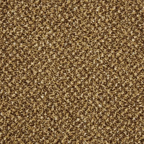 Cormar Primo Tweeds Carpet Exen Flooring