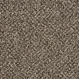 Cormar Primo Tweeds Carpet Exen Flooring