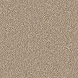 Cormar Primo Ultra Carpet Exen Flooring
