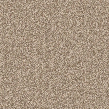 Cormar Primo Ultra Carpet Exen Flooring