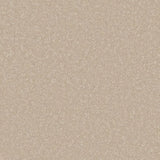 Cormar Primo Ultra Carpet Exen Flooring