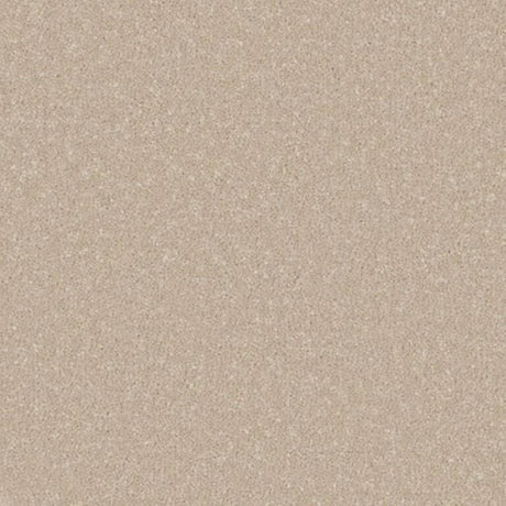 Cormar Primo Ultra Carpet Exen Flooring