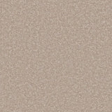 Cormar Primo Ultra Carpet Exen Flooring