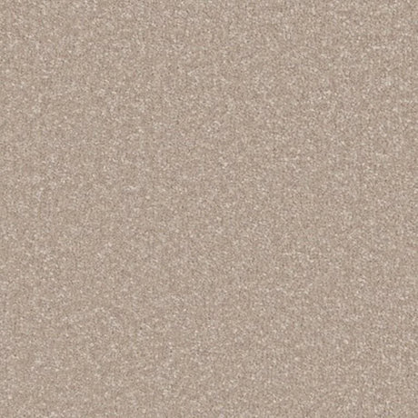 Cormar Primo Ultra Carpet Exen Flooring