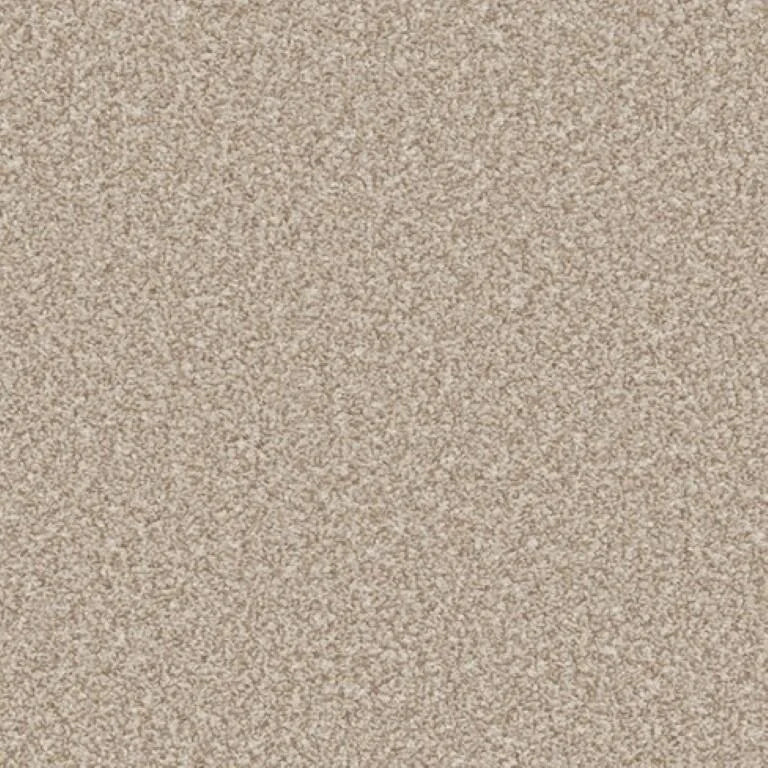 Cormar Primo Ultra Carpet Exen Flooring