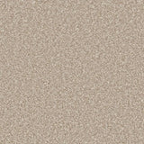 Cormar Primo Ultra Carpet Exen Flooring