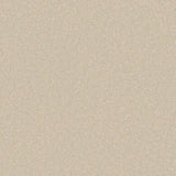 Cormar Primo Ultra Carpet Exen Flooring