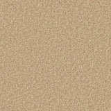 Cormar Primo Ultra Carpet Exen Flooring