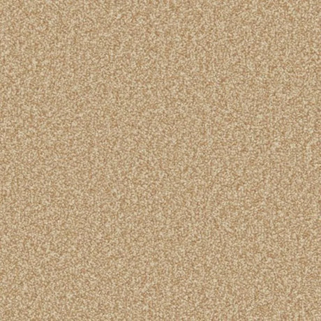 Cormar Primo Ultra Carpet Exen Flooring