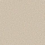 Cormar Primo Ultra Carpet Exen Flooring