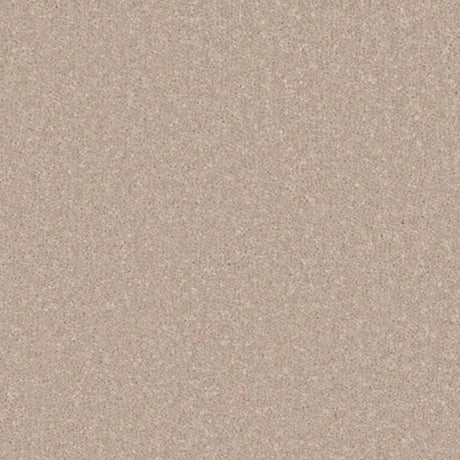 Cormar Primo Ultra Carpet Exen Flooring