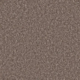 Cormar Primo Ultra Carpet Exen Flooring