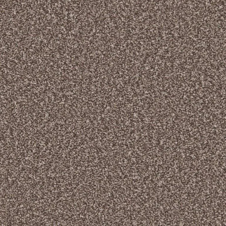 Cormar Primo Ultra Carpet Exen Flooring