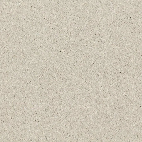 Cormar Raven Carpet Exen Flooring