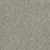 Cormar Raven Carpet Exen Flooring