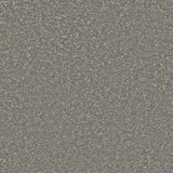 Cormar Raven Carpet Exen Flooring