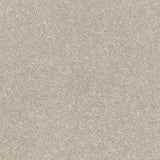 Cormar Raven Carpet Exen Flooring