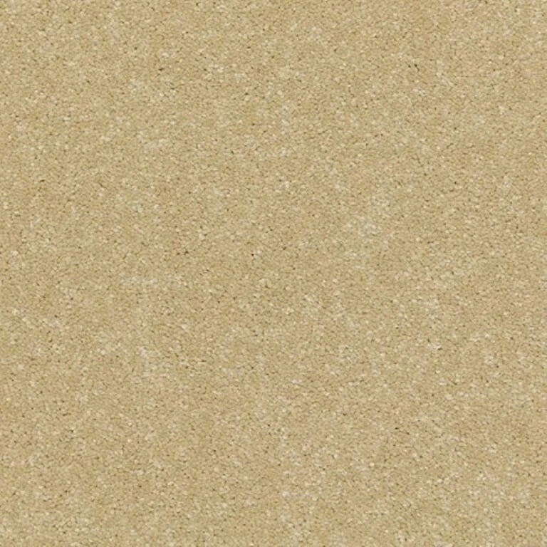 Cormar Raven Carpet Exen Flooring