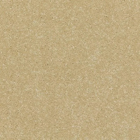 Cormar Raven Carpet Exen Flooring