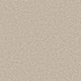 Cormar Raven Carpet Exen Flooring