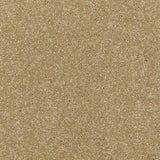 Cormar Raven Carpet Exen Flooring