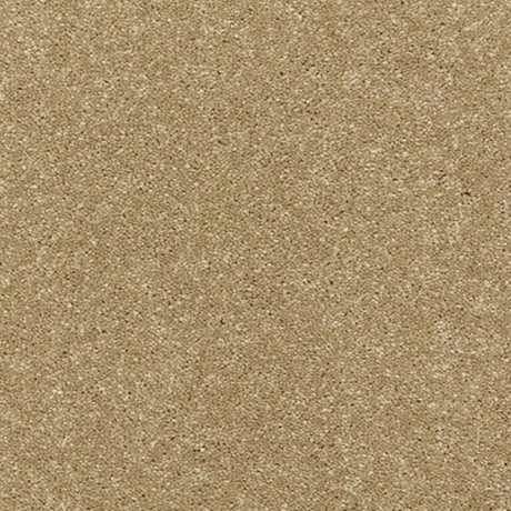 Cormar Raven Carpet Exen Flooring