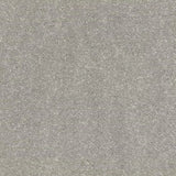 Cormar Raven Carpet Exen Flooring