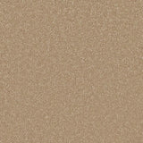 Cormar Sensation Original Carpet Exen Flooring