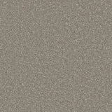 Cormar Sensation Original Carpet Exen Flooring