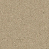 Cormar Sensation Original Carpet Exen Flooring