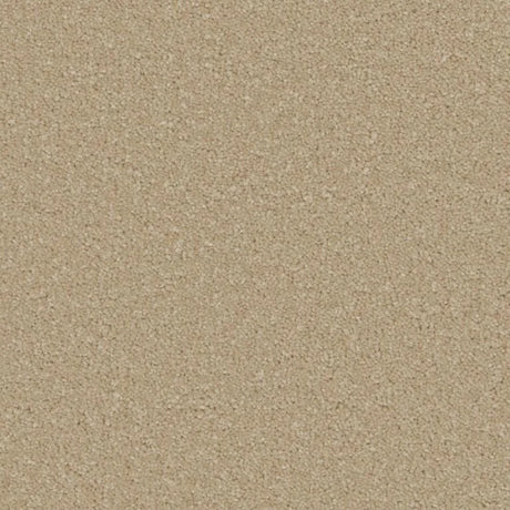 Cormar Sensation Original Carpet Exen Flooring