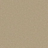 Cormar Silken Serenity Carpet Exen Flooring