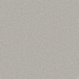 Cormar Silken Serenity Carpet Exen Flooring