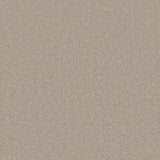 Cormar Silken Serenity Carpet Exen Flooring