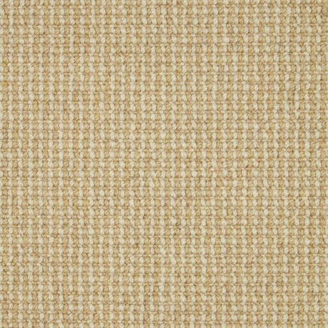 Cormar Trilogy Carpet Exen Flooring