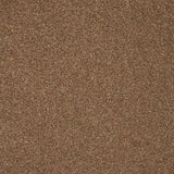 Cormar Trinity Carpet Exen Flooring