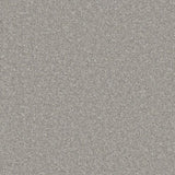 Cormar Zenith Carpet Exen Flooring