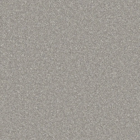 Cormar Zenith Carpet Exen Flooring