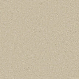 Cormar Zenith Carpet Exen Flooring