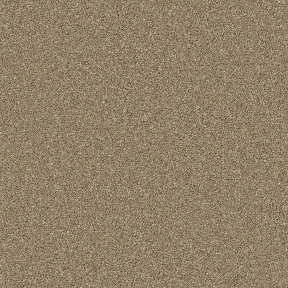 Cormar Zenith Carpet Exen Flooring