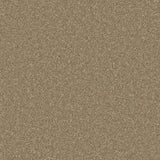 Cormar Zenith Carpet Exen Flooring