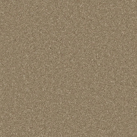 Cormar Zenith Carpet Exen Flooring