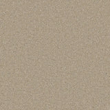 Cormar Zenith Carpet Exen Flooring