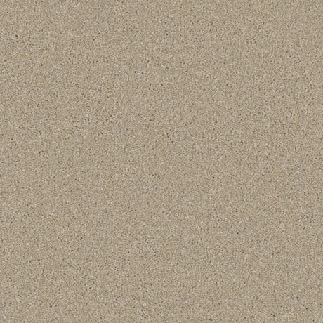 Cormar Zenith Carpet Exen Flooring